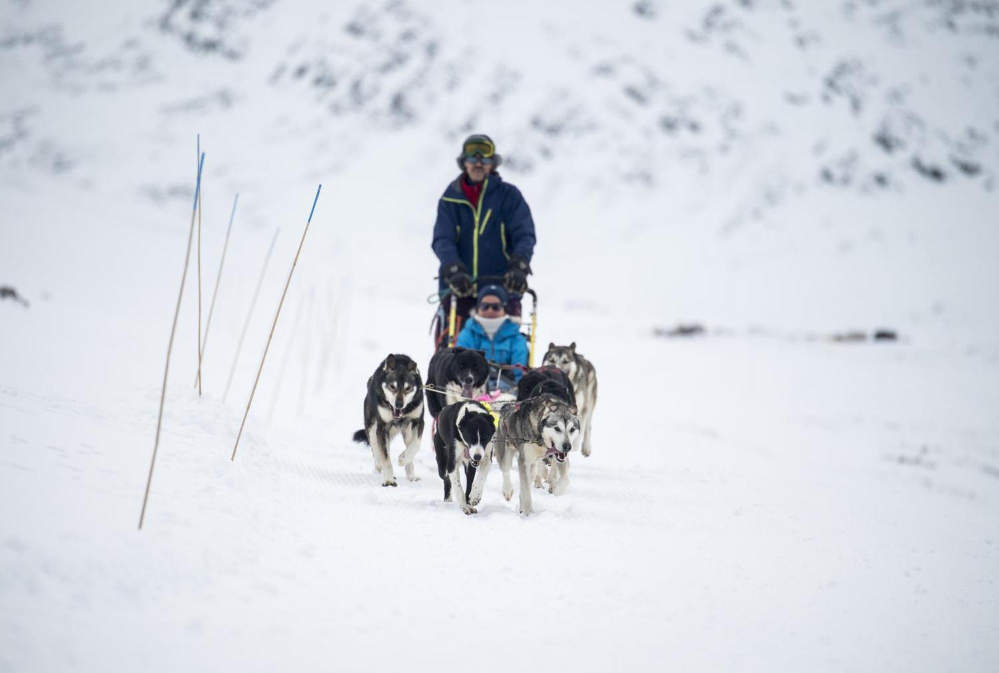 Smuksjoseter Fjellstue Hotel Høvringen Eksteriør billede